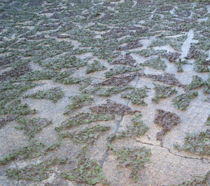 Army Surplus Camo Net